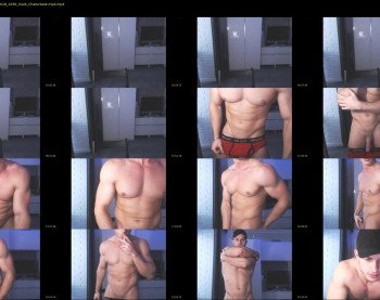 muscleboytop