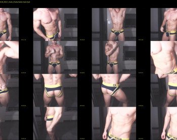 muscleboytop