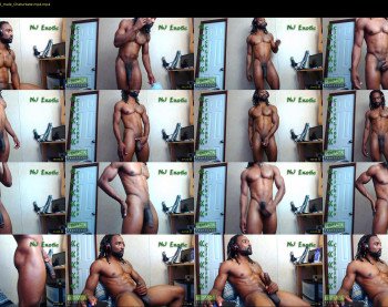 nj_exotic