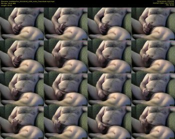 scottbearfun