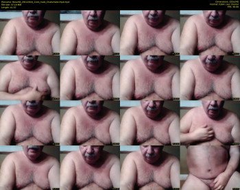 tbear66