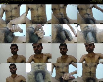 indian_cobra1