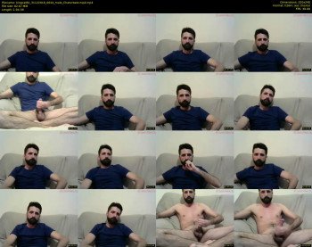 kingcat82