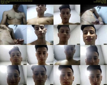 austin_bull