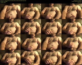 cakewalk2799
