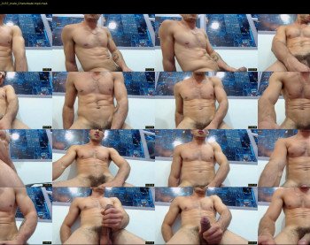 damiann_fox3