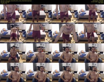 shenjungle