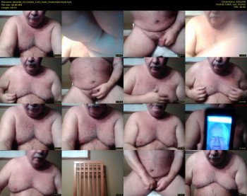 tbear66