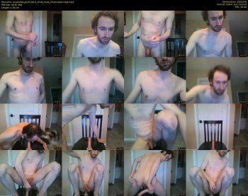 analexhib