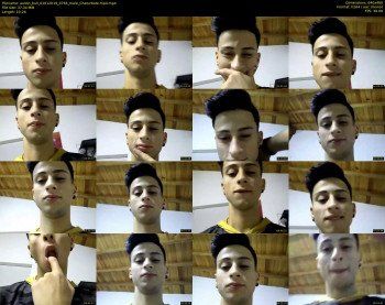 austin_bull