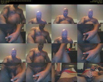 bigbull856