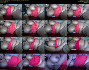fattypervette1