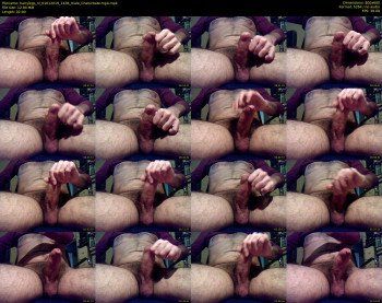 hairylegs_nl