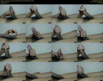 ind_ash_mal_ash