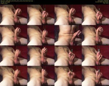 steffen861