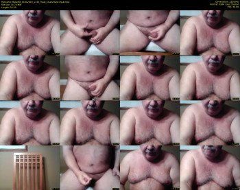 tbear66
