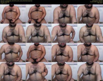 alexlatinbear