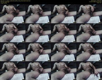 a1_49311