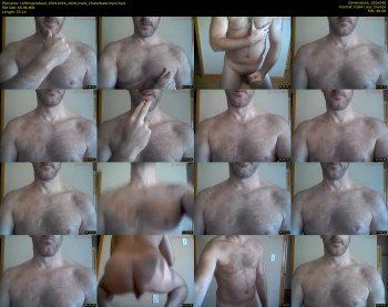 coltmusclebear