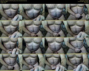 furrybear2