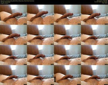 prostatecums