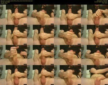 uk_stallion