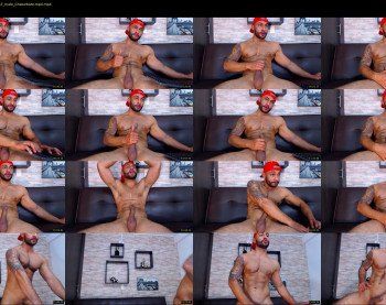 apolo_fox