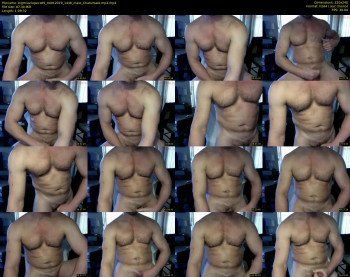 bigmusclepecs69