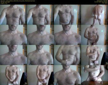 coltmusclebear