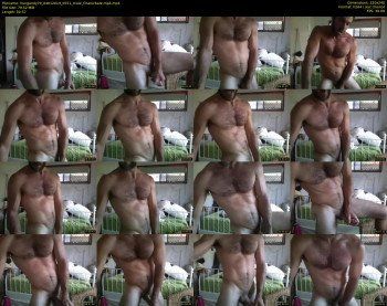hungandy79