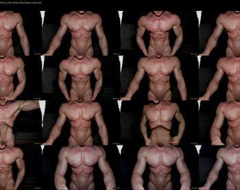 muscle_johnson