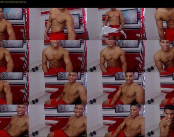 teddyfit19cm