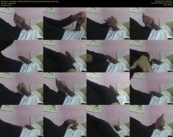 arabic66_cock066