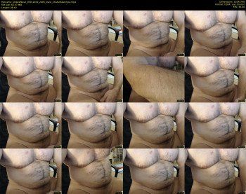 jimbeefbear