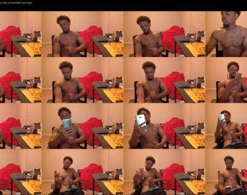 papi_stix