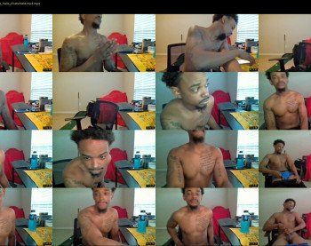 papi_stix