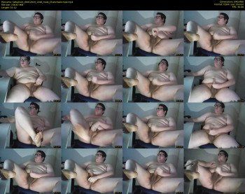 fatballs24