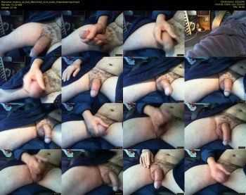 mature_uk_bull