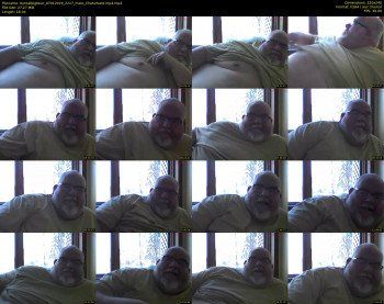 borealbigbear