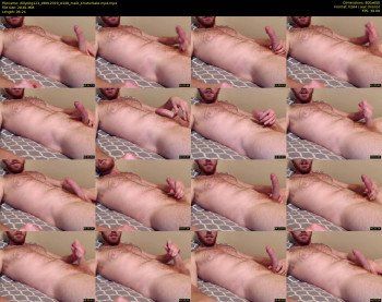 dillydog123