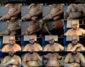 italian_bear