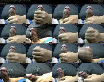 slaphot