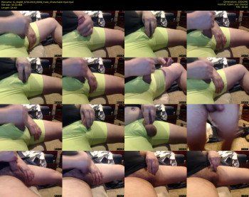 tx_dog66
