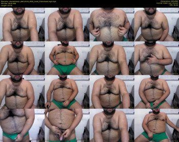 alexlatinbear