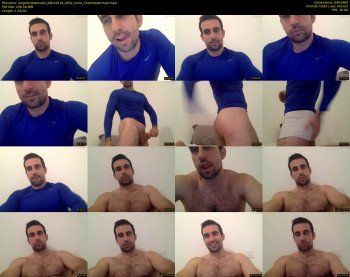 angellonewmodel