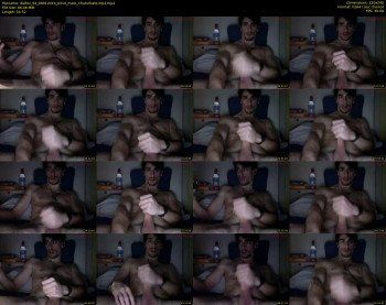 dalfox_94