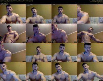 panda_muscle