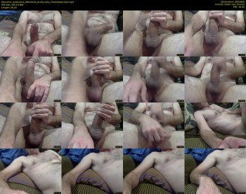 puslicker4