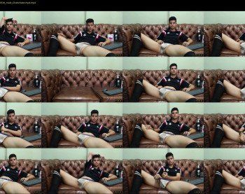 angell_david