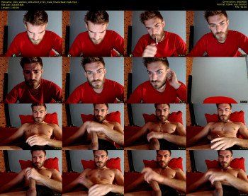 10in_stallion